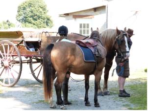 Hebergement Gite Relais Equestre Marie Hebergement Tours-en