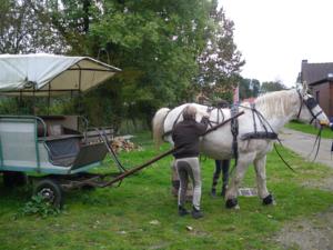 Hebergement Gite Relais Equestre Marie Hebergement Tours-en