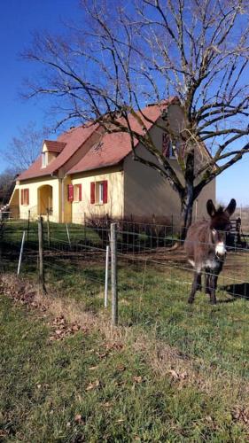 nature et proximité : Appartements proche de Martel