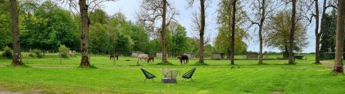 Gite Haras du Bois de Formerie : Maisons de vacances proche de Lannoy-Cuillère