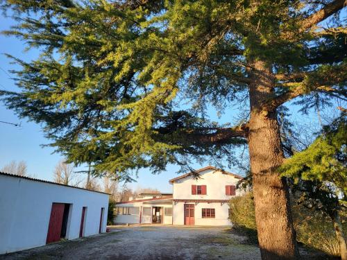 WonderBar (Auberge du Trinquet) : Auberges proche de Reyniès