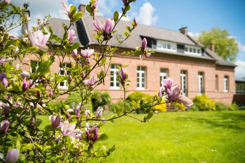 L-hirondelle bleue : Maisons de vacances proche de Berlencourt-le-Cauroy