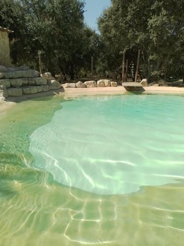 le pénéquet : climatisé, piscine lagon au milieu des chênes : Maisons de vacances proche de La Roque-sur-Pernes