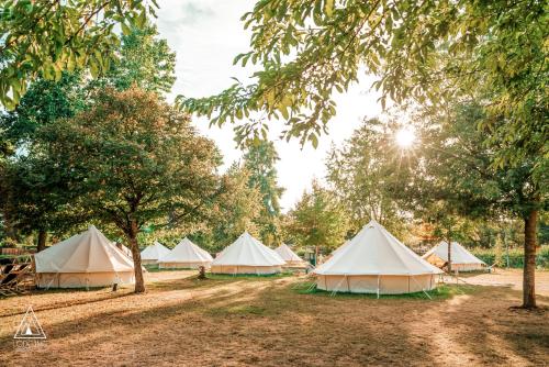 Lodg-ing Nature Camp Anjou NEW 2024 : Tentes de luxe proche de Mûrs-Erigné