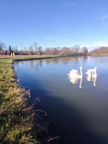 La Halte du Canal : Campings proche d'Imphy