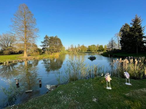 Gîte de charme : Appartements proche de Pérenchies