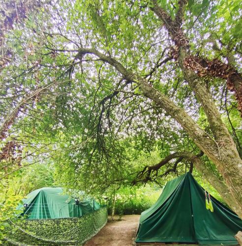 Le camp du bivouaqueur : Campings proche de Liniez