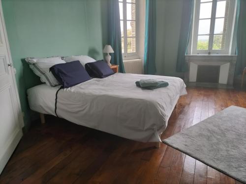 CHATEAU LE PUYBELLIARD : B&B / Chambres d'hotes proche de Chantonnay