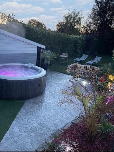 Charmante maison spacieuse avec jacuzzi privatif : Maisons de vacances proche de Phalempin