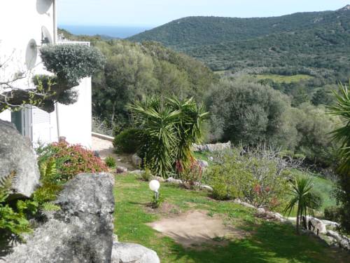 Studio les Pounettes : Appartements proche de Lecci