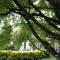 Appartements Room in Studio - Studio surrounded by greenery : photos des chambres