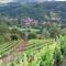 Maisons de vacances Le moulin des vignes : photos des chambres