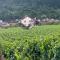 Maisons de vacances Maison de campagne entre vigne et bois : photos des chambres