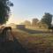 Maisons de vacances Gite haras d’elevage de chevaux : photos des chambres