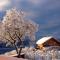 Chalets Chalet bioclimatique avec vue sur le lac de Serre Poncon : photos des chambres