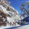 Chalets L'echappee Belle en Montagne : photos des chambres