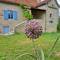 Maisons de vacances Maison typique du Quercy ! : photos des chambres