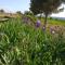 Appartements Studio i Languedoc. : photos des chambres