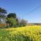 Appartements Tiny chalet dans la campagne lauragaise : photos des chambres