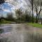 Maisons de vacances sejour nature au Shed - Sornay - Haute Saone : photos des chambres