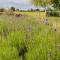 Maisons de vacances Modern holiday home in Aquitaine : photos des chambres