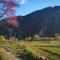 Maisons de vacances Au coeur des vignes, entre montagnes et riviere : photos des chambres