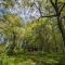 Maisons de vacances Tiny House La Clairiere au milieu des bois ! : photos des chambres