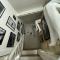 Villas Caporizon-Love House : photos des chambres