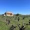 Maisons de vacances GARD Gite d-ysee au milieu des vignes : photos des chambres