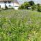 Maisons de vacances Maison de 2 chambres avec jardin amenage et wifi a Antezant la Chapelle : photos des chambres