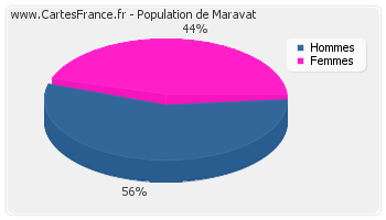 Répartition de la population de Maravat en 2007