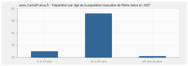 Répartition par âge de la population masculine de Pleine-Selve en 2007