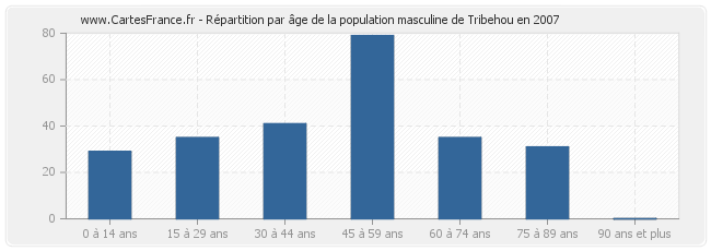 Répartition par âge de la population masculine de Tribehou en 2007