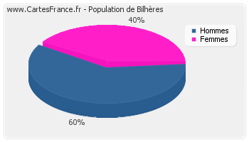 Répartition de la population de Bilhères en 2007